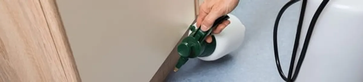 Bed bug exterminator treating baseboards and cracks with targeted spray in Lowell, MA