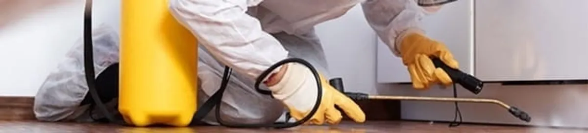 Roach exterminator treating cracks and crevices along kitchen baseboards in Lowell, MA
